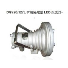 DGY20/24L隔爆型LED投光燈24V投光燈20Wled投光燈