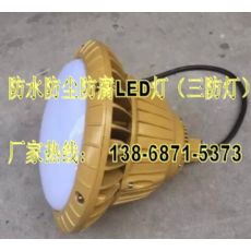 防水防塵防腐LED燈FAD-E30h額定功率30W/220V護欄立桿式