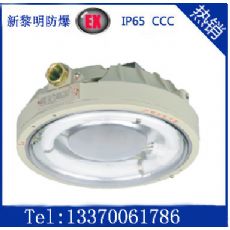 吸頂式CCD96防爆免維護節能照明燈